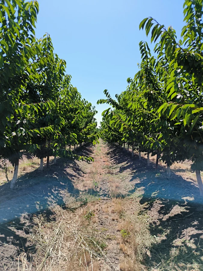 Instalaciones GRIN Group - Equipo de trabajo